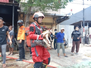 FOTO: Petugas Damkar Makassar Evakuasi Kucing Saat Padamkan Api