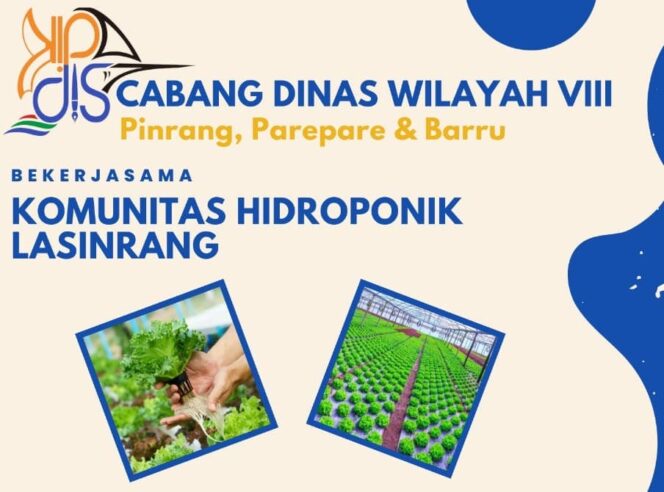 
 Pelatihan Budidaya Sayur Hidroponik SMA Sekabupaten Pinrang .
image/sulselprov