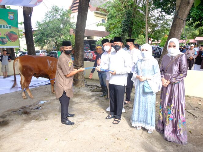 
 Polda Sulsel Bagi 695 Hewan Qurban, 22 Kambing