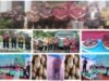 Pengiriman Komoditi Porang Petani