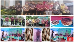 Pengiriman Komoditi Porang Petani
