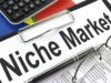 Niche Marketing Pengertian definisi