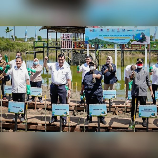 
 Tiga Menteri RI Tanam Mangrove di Maros