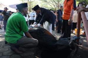 Walikota Makassar Saksikan Pemotongan Hewan Kurban dan Gelar Open House