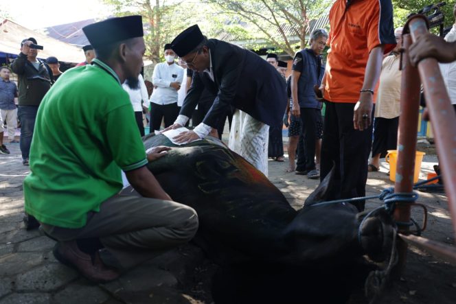 
 Walikota Makassar Saksikan Pemotongan Hewan Kurban dan Gelar Open House