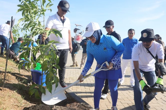 
 Ratusan Pohon Tabebuya Bakal Ditanam Saat Gelaran APEKSI XVI di Makassar