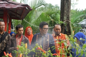 Kunjungi Lorong Wisata Sydney, Pj. Bupati Buton Tengah Akan Aplikasikan Teknologi Budidaya Pangan Di Wilayahnya