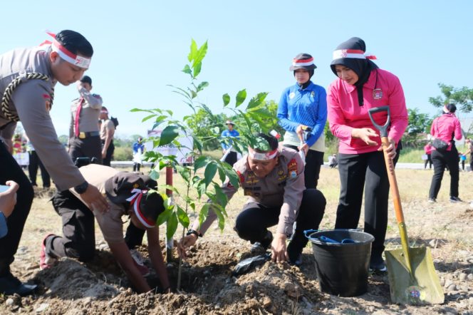 
 Polri Catat Rekor MURI Tanam Pohon Serentak Dan Terbanyak, Polda Sulsel 41.086 Pohon