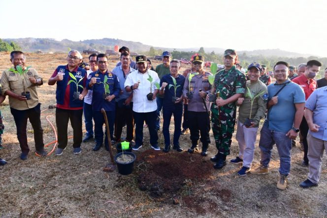 
 Budidaya Pisang di Lahan 1 Juta Hektare, Pj Gubernur Sulsel Undang Swasta Berinvestasi 