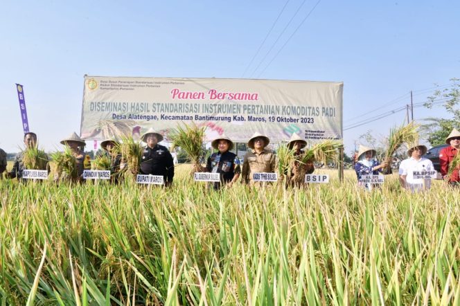 
 Panen Raya Padi Bersama Petani di Tengah El Nino 