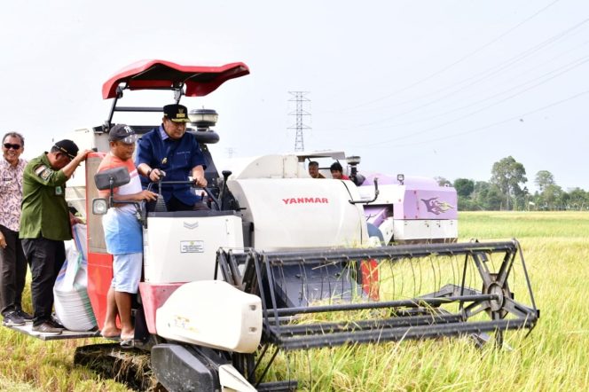 
 Pj Gubernur Optimistis Surplus 2 Juta Ton Beras Tercapai ketika Petani di Pinrang Pesta Panen Musim Kemarau 