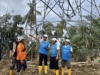 PLN Terus Kebut Siang Malam Perbaiki Jalur Kelistrikan Aceh